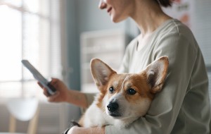 How to Check if Your iPhone Is Hacked in Settings