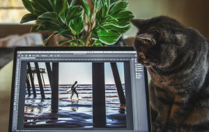 Can Macs Get Viruses & Why You Need An Antivirus for Mac